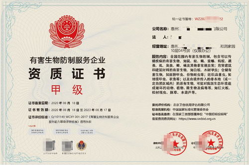 深圳企業(yè)信息技術(shù)咨詢(xún)服務(wù) 驅(qū)動(dòng)數(shù)字化轉(zhuǎn)型的智慧引擎