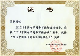 北京國(guó)聯(lián)視訊信息技術(shù)股份榮獲“2012中國(guó)電子商務(wù)百?gòu)?qiáng)企業(yè)”稱號(hào)，引領(lǐng)企業(yè)信息技術(shù)咨詢服務(wù)新浪潮